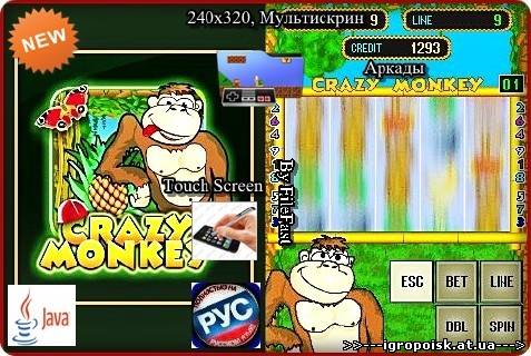 Crazy Monkey / Безумная обезьяна - скачать бесплатно без регистрации и смс - igropoisk.at.ua